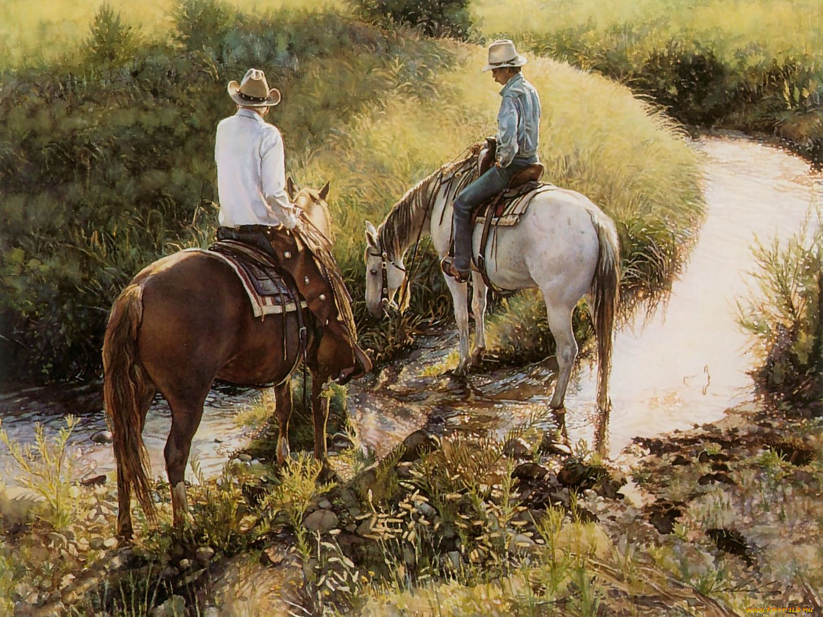 steve, hanks, 